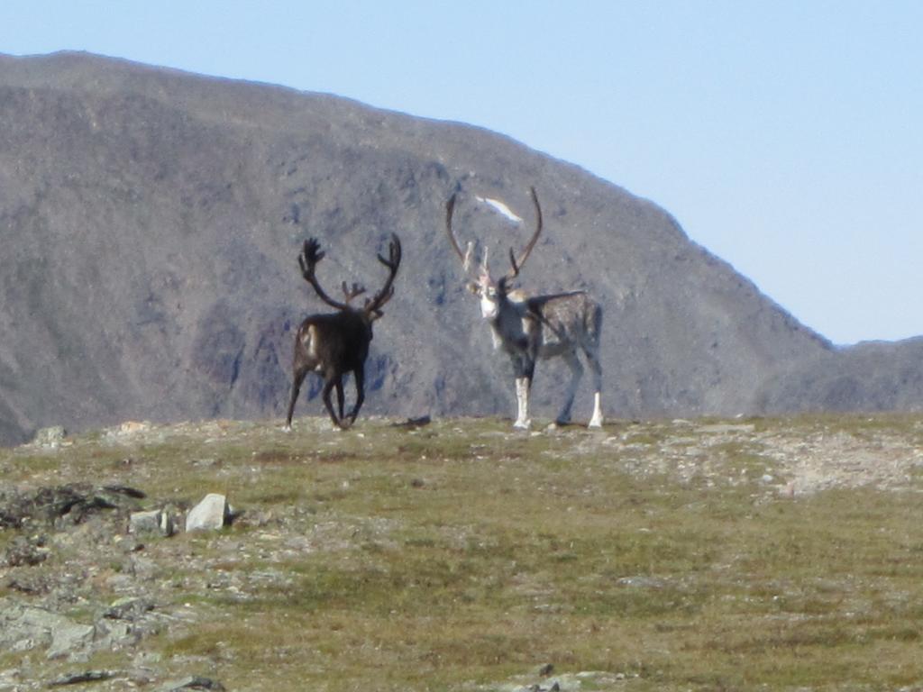 Utsikten Feriehus I Bakkeby Esterno foto